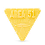 Area 51 by Bullymake