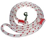 BULLYMAKE Heavy Duty Nylon Leash – White & Red