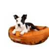 https://bullymakeshop.com/wp-content/uploads/2022/12/Medium-Dog-Orange-2-100x100.png