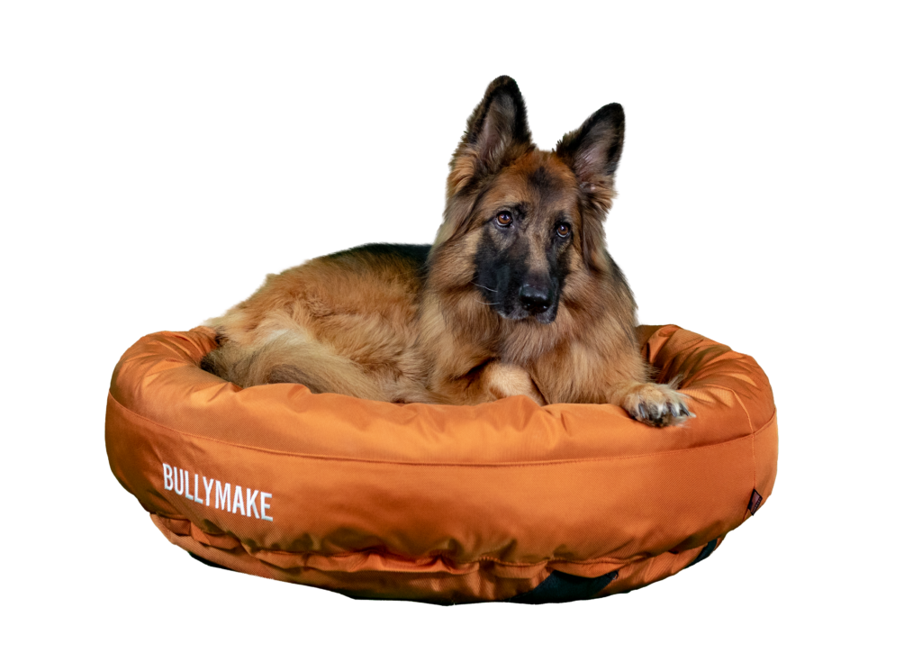 BULLYMAKE Bed Orange Large BULLYMAKE Shop