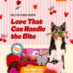 BULLYMAKE BOX - One-time Purchase