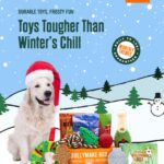 BULLYMAKE BOX - One-time Purchase