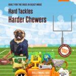 BULLYMAKE BOX - One-time Purchase