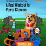 BULLYMAKE BOX - One-time Purchase